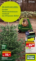 Pflanzen Kölle Prospekt "Ich mach's mir schön!" für Neckarsulm, 20 Seiten, 04.12.2023 - 10.12.2023
