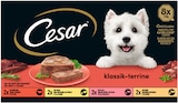 Katzen Trockenfutter von Crave im aktuellen Rossmann Prospekt für 4,99 €