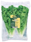Mini Romana Salatherzen bei EDEKA im Oldsum Prospekt für 1,49 €