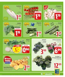 Gurken im EDEKA Prospekt Gurken im EDEKA Prospekt "Wir lieben Lebensmittel." auf Seite 5