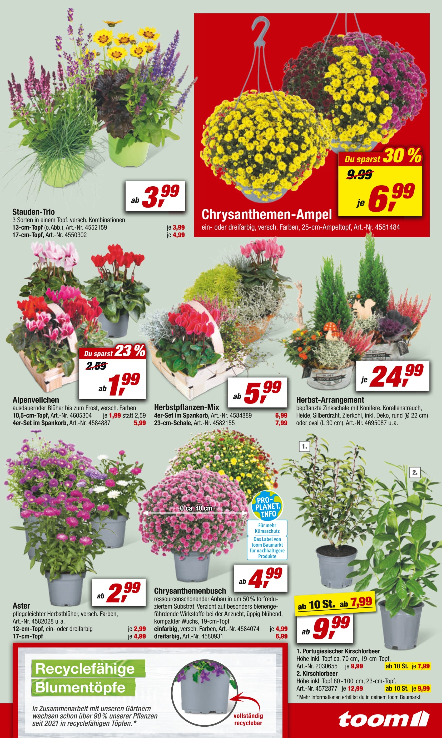 Kaufland Blumen Angebot ᐅ Finde den Preis im aktuellen Prospekt
