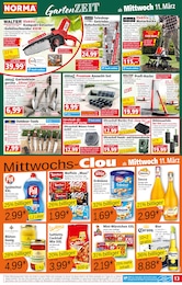 Erdnüsse Angebot im aktuellen Norma Prospekt auf Seite 13