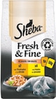 Fresh & Fine Katzennassnahrung Angebote von Sheba bei Netto mit dem Scottie Stendal für 3,50 €