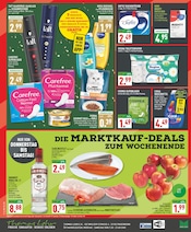 Ähnliche Heu Angebote im Prospekt "Aktuelle Angebote" von Marktkauf in Paderborn Ähnliche Angebote wie Heu im Prospekt "Aktuelle Angebote" auf Seite 16 von Marktkauf in Paderborn