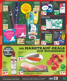 Äpfel im aktuellen Marktkauf Prospekt (Paderborn) Äpfel im Marktkauf Prospekt "Aktuelle Angebote" mit 16 Seiten (Paderborn)