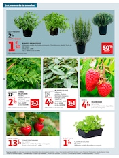 Plantes Angebote im Prospekt "COUP DE PROPRE" von Auchan Hypermarché auf Seite 38