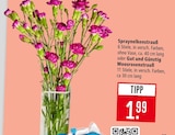 Aktuelle Blumen Angebote bei Marktkauf in Freiburg (Breisgau) Aktuelles Spraynelkenstrauß Angebot bei Marktkauf in Freiburg (Breisgau) ab 1,99 €