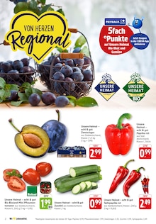 EDEKA Geislingen Prospekt der aktuellen Woche, gültig von 04.08.2025 bis 09.08.2025 Aktueller EDEKA Geislingen Prospekt "Aktuelle Angebote" mit 24 Seiten