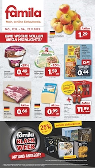 Cola im famila Nordwest Prospekt "Markt - Angebote" mit 41 Seiten (Lingen (Ems))