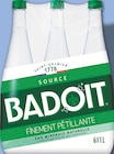 Eau Minérale Naturelle Gazeuse Verte - Badoit en promo chez Netto Poitiers à 1,79 €