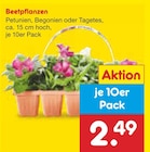 Angebot im Netto Marken-Discount Wassenberg Prospekt Netto Marken-Discount Wassenberg Prospekt mit im Angebot für 2,49 €