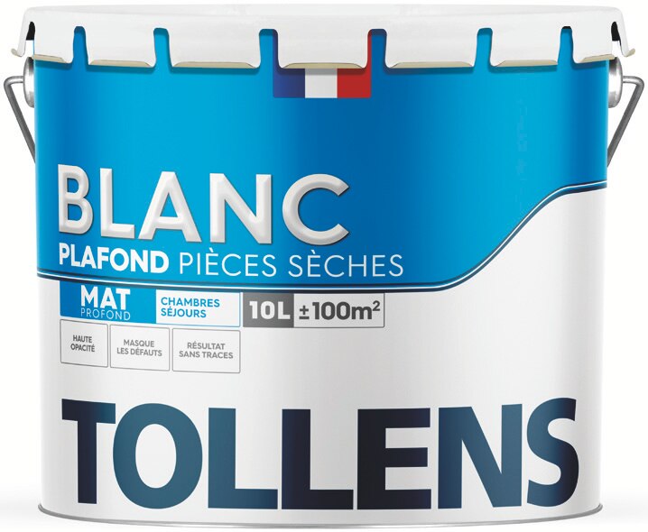 PEINTURE BLANC INTERIEUR SEJOUR ET CHAMBRE LUXENS MAT 10L 