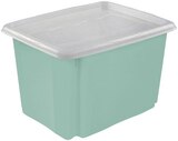 Box mit Deckel im Angebot bei REWE in Bonn Box mit Deckel Angebote von keeeper bei REWE Bonn für 5,99 €