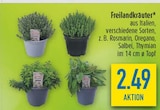 Freilandkräuter bei diska im Rodewisch Prospekt für 2,49 €