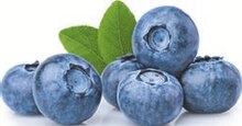 Heidelbeeren bei ALDI SÜD in Essen Heidelbeeren im Angebot bei ALDI SÜD Essen