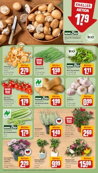 Kürbis im aktuellen REWE Prospekt (Frankfurt (Main)) Kürbis im REWE Prospekt "Dein Markt" mit 16 Seiten (Frankfurt (Main))