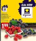 E center Mönchengladbach - Himbeeren Angebot im Prospekt Himbeeren bei E center im Mönchengladbach Prospekt für 1,99 €