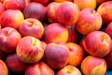 Norma Toul - Promo Nectarines Promo Nectarines à 1,74 € dans le catalogue Norma à Toul