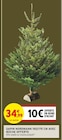 Sapin Nordmann 150/175 cm avec bûche offerte à Intermarché Super dans Montesquieu-Lauragais