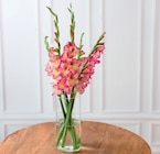 Bouquet de 5 glaïeuls - U Express à Poitiers Bouquet de 5 glaïeuls en promo chez U Express Poitiers à 4,99 €