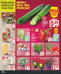 Blumen Angebot im aktuellen EDEKA Prospekt auf Seite 2