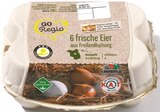 6er-Pack Freilandeier im Angebot bei Netto mit dem Scottie in Eberswalde 6er-Pack Freilandeier Angebote von GO Regio bei Netto mit dem Scottie Eberswalde für 1,99 €