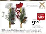 Amaryllis-Dekostrauss Angebote von X-Mas bei XXXLutz Bonn für 9,99 €