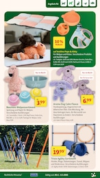 Fressnapf Hundetreppe im Prospekt 