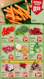 Garten im REWE Prospekt in Friedrichshafen Aktueller REWE Prospekt mit Garten, "Dein Markt", Seite 9