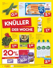 Aktueller Netto Marken-Discount Hameln Prospekt Netto Marken-Discount Prospekt Hameln "Aktuelle Angebote" mit 67 Seiten