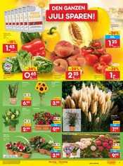 Paprika im Netto Marken-Discount Prospekt in Hoyerswerda Aktueller Netto Marken-Discount Prospekt mit Paprika, "Aktuelle Angebote", Seite 7