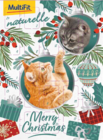 MultiFit oder Moments Adventskalender für Katzen Angebote von MultiFit bei Fressnapf Schwerin für 4,99 €