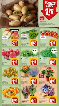 Rucola im aktuellen REWE Prospekt (Dortmund) Rucola im REWE Prospekt "Dein Markt" mit 30 Seiten (Dortmund)