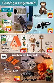 Vogelhaus im REWE Prospekt "Dein Markt" mit 40 Seiten (Bonn)