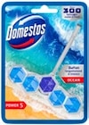 WC-Stein Power 5 von Domestos im aktuellen Kaufland Prospekt