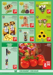 Aktueller Marktkauf Prospekt mit Salat, "AUSWAHL RIESIG, PREISE NIEDRIG", Seite 9