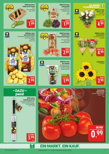 Kartoffeln im Marktkauf Prospekt "AUSWAHL RIESIG, PREISE NIEDRIG" mit 45 Seiten (Nürnberg)
