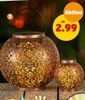Aktuelles Solarlaterne ORIENT Angebot bei Penny-Markt in Wuppertal ab 2,99 €