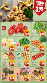 Pfifferlinge im REWE Prospekt "Dein Markt" mit 20 Seiten (Offenbach (Main))