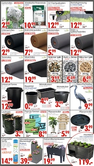 Blumenkasten im Wreesmann Prospekt "DEIN SAISON- & SONDERPOSTENMARKT!" mit 12 Seiten (Dresden)