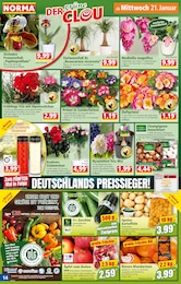 Norma Silvester im Prospekt 