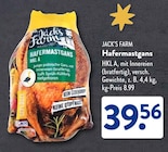 Hafermastgans Angebote von Jack’s Farm bei ALDI SÜD Pirmasens für 39,56 €