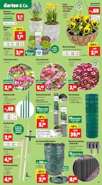Blumenampel Angebot im aktuellen Thomas Philipps Prospekt auf Seite 5