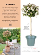 Aktueller Moubis Pflanzenhof Prospekt mit Gartenmöbel, "Bring Schwung in dein Zuhause", Seite 21