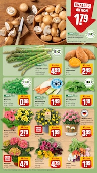 Spargel im REWE Prospekt "Dein Markt" mit 22 Seiten (München)