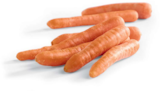 Netto Marken-Discount Kaltennordheim - Möhren Angebot im Prospekt Möhren bei Netto Marken-Discount im Kaltennordheim Prospekt für 1,29 €