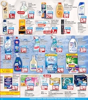 Ariel im HIT Prospekt in Brühl Aktueller HIT Prospekt mit Ariel, "ECHTE VIELFALT", Seite 14