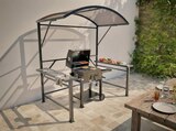 Tonnelle barbecue - HYBA - Carrefour à Perpignan Tonnelle barbecue - HYBA en promo chez Carrefour Perpignan à 259,99 €