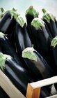 Promo Aubergine Violette à 1,99 € dans le catalogue Intermarché Contact à Cussey-sur-l'Ognon
