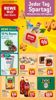 REWE Prospekt Dein Markt mit 30 Seiten